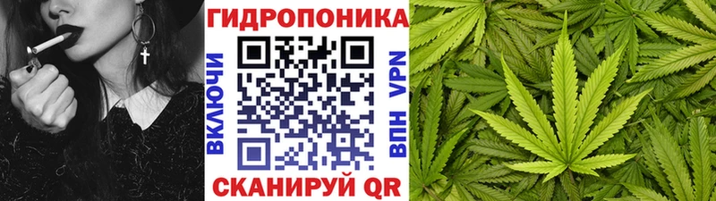 Бошки Шишки White Widow Старая Русса